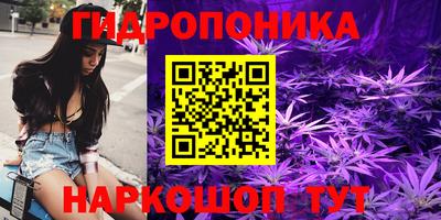 spice Рязань
