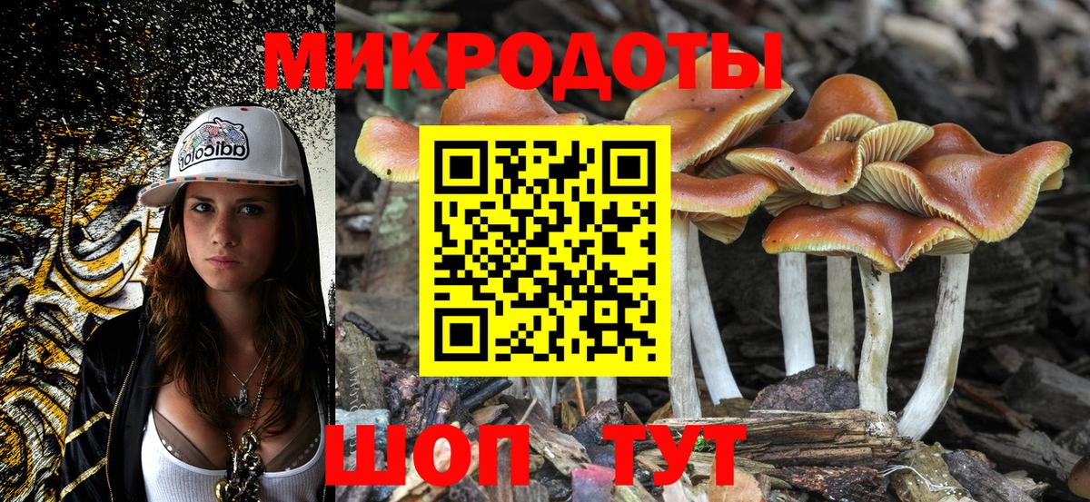 Псилоцибиновые грибы Psilocybine cubensis Озёрск