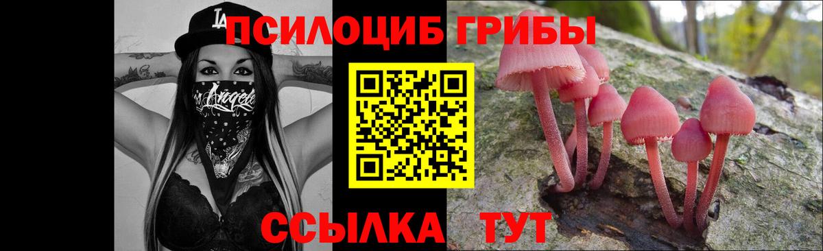 Псилоцибиновые грибы GOLDEN TEACHER  Галлюциногенные грибы мицелий  Вход с VPN  Озёрск 